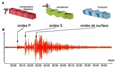 Ondes Sismiques Echelle De Richter Accesmad